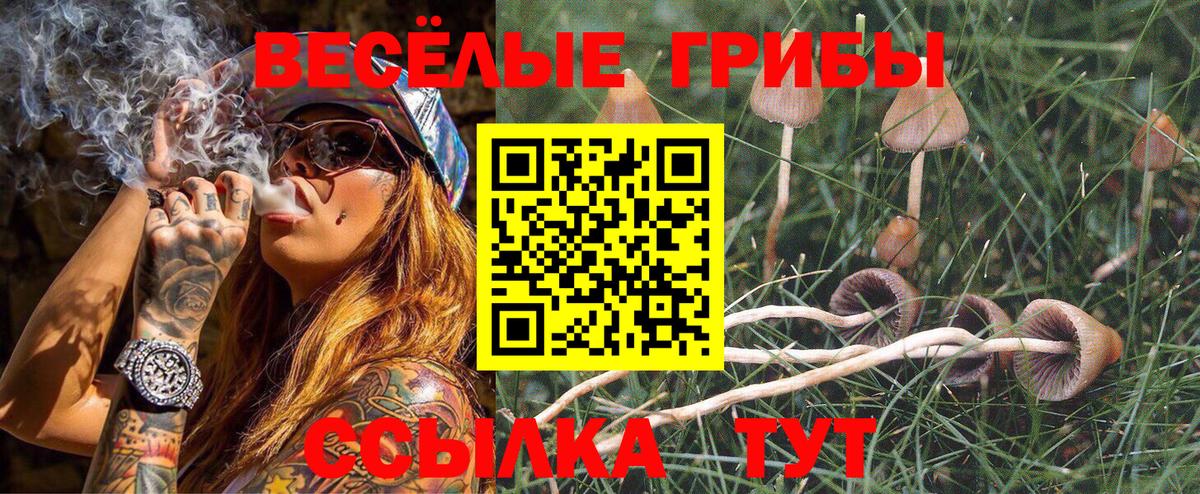 Галлюциногенные грибы Cubensis  Вход с VPN  дарнет шоп  Киселёвск 