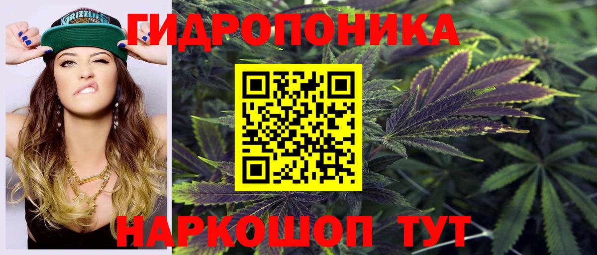 МАРИХУАНА гибрид  Вход с VPN  Бошки Шишки сатива  Киселёвск 